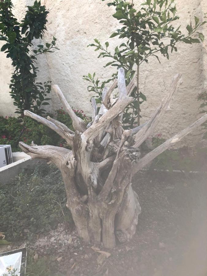 B&B Villa S.Anna Bari Luaran gambar